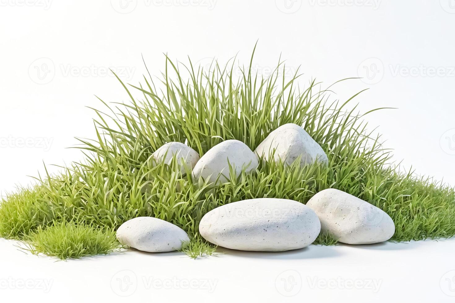 White Stones and Green Grass photo