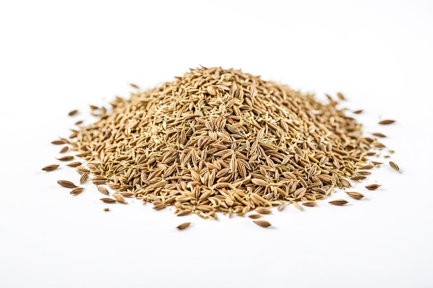 Close-up of a Pile of Cumin Seeds photo