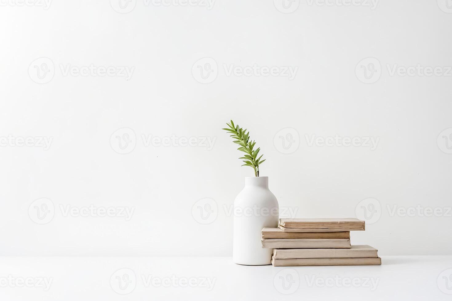 Minimalist White Vase with Green Branch and Books photo