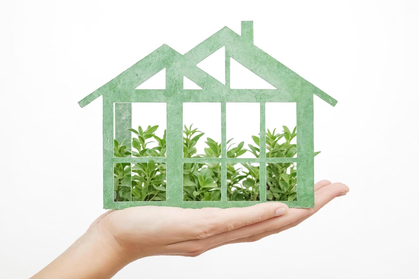 Green House In Hand photo