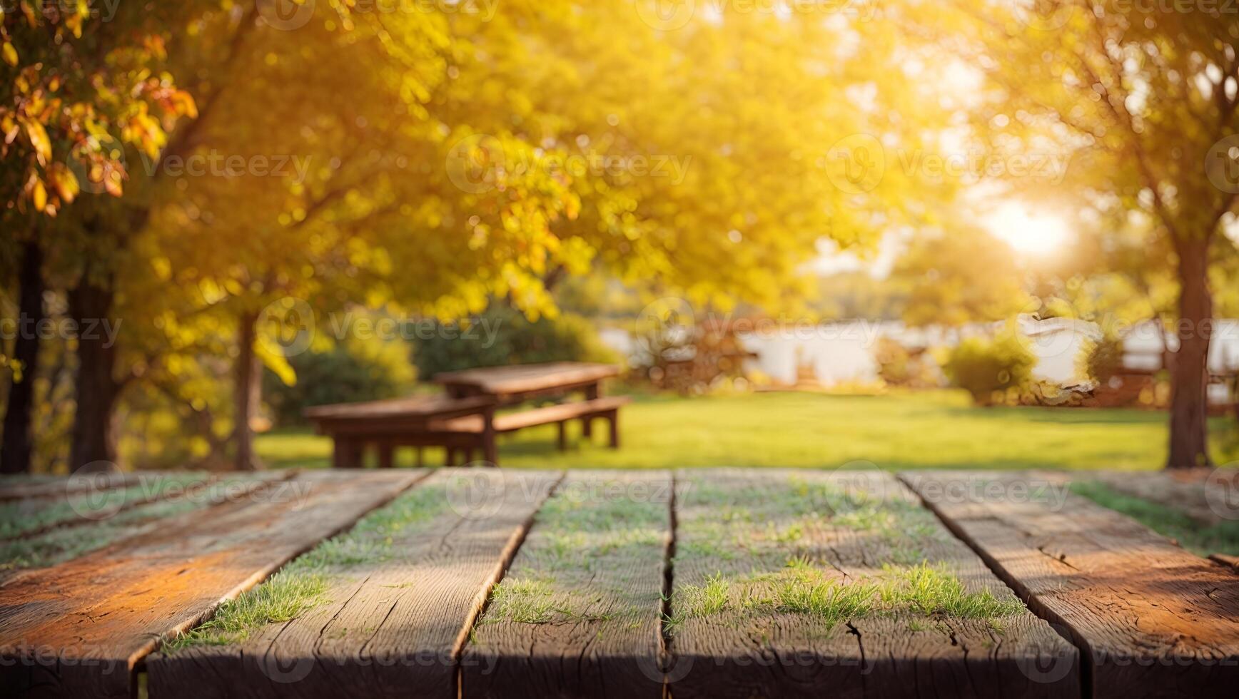 Wooden Table in a Sunny Forest Setting photo