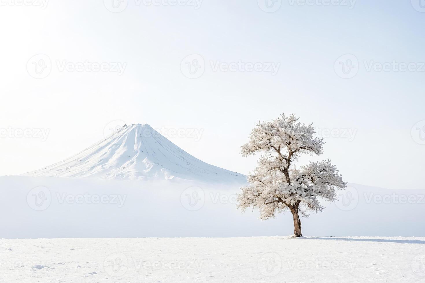 Lone Tree in Snowy Landscape with Mountain in Background photo