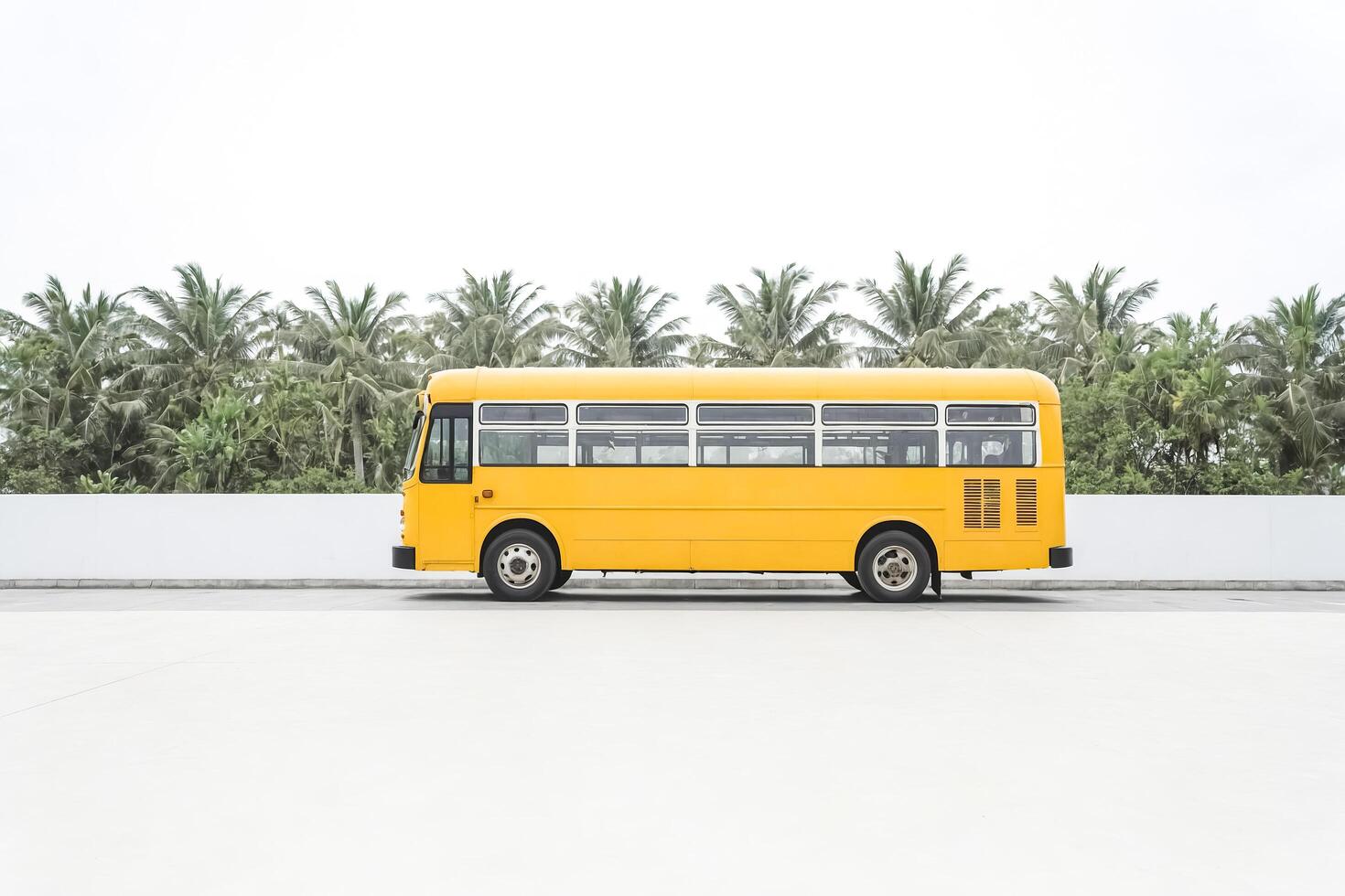 Yellow School Bus Parked in Front of Palm Trees photo