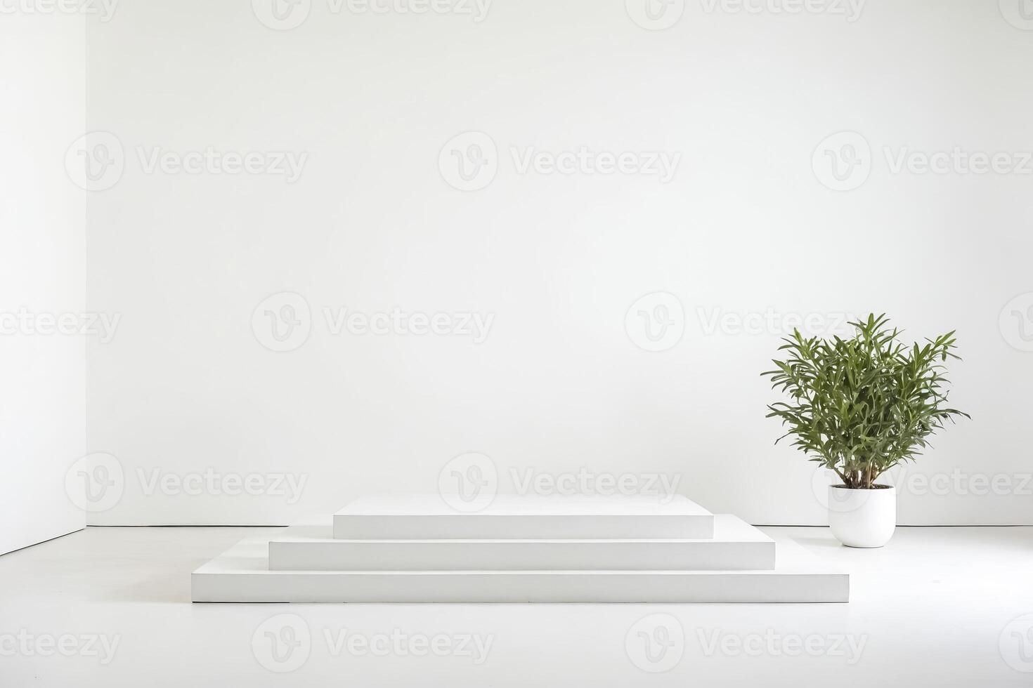 Minimalist White Platform with Green Plant photo