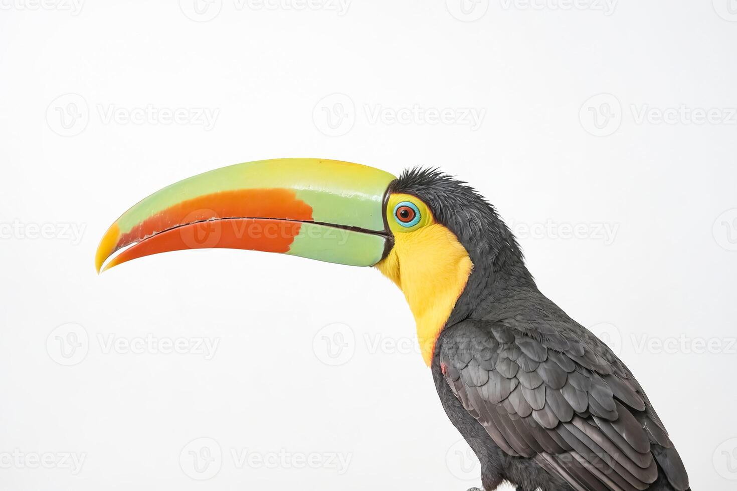 Close Up Of A Toucan's Colorful Beak photo