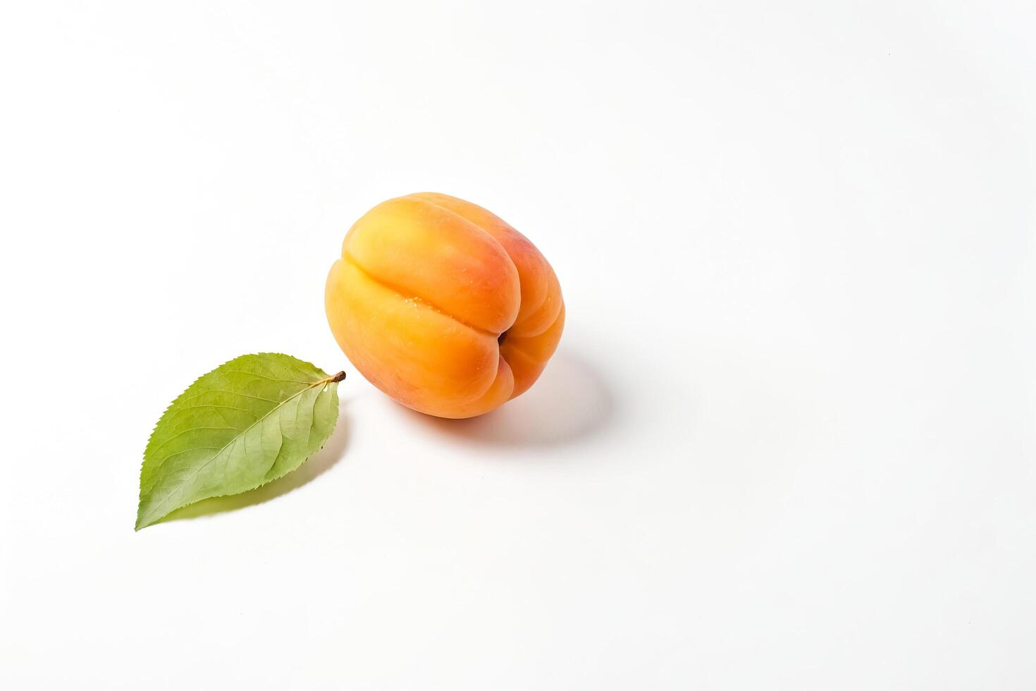 Single Apricot with Leaf on White Background photo