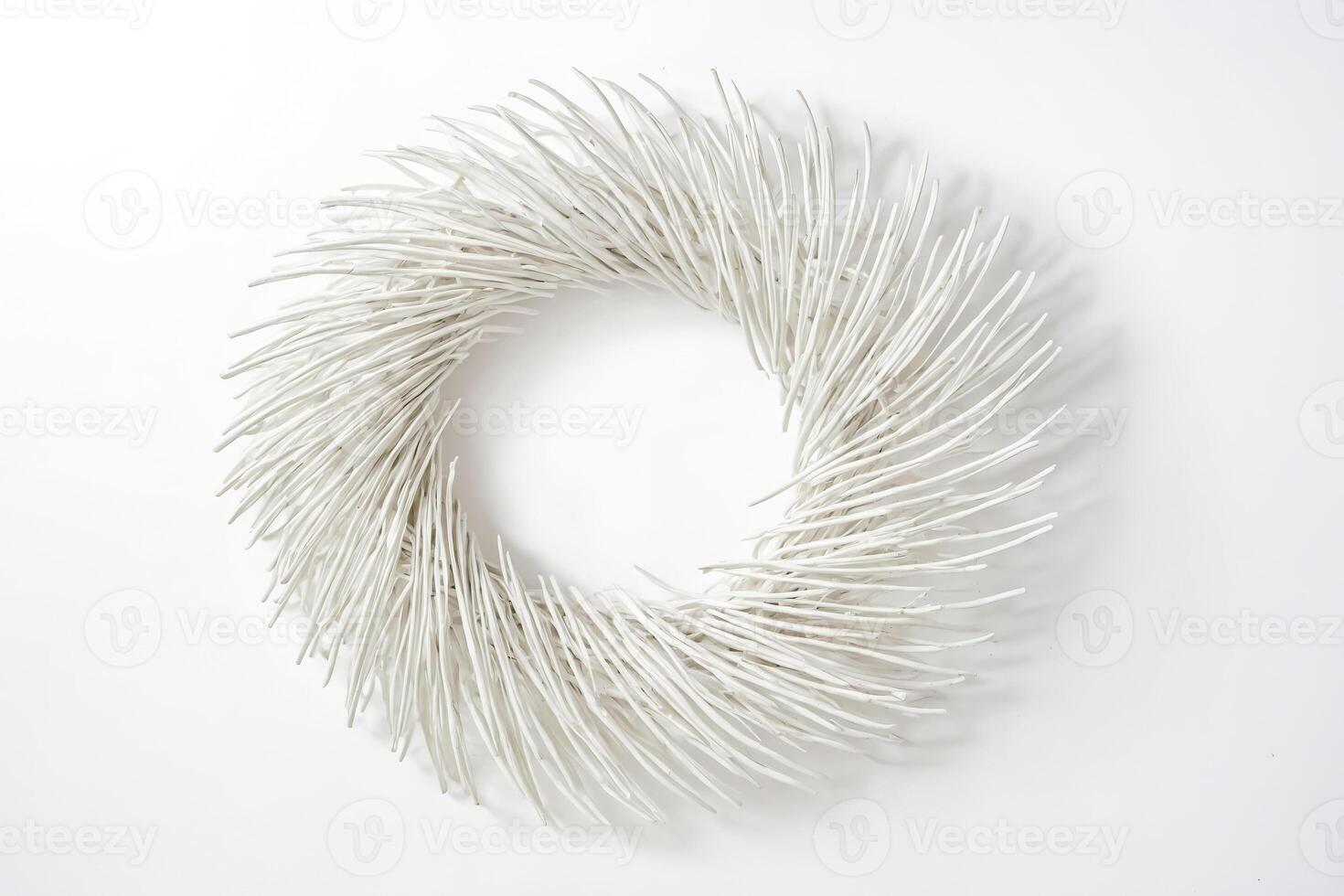White Branches Circle on White Background photo