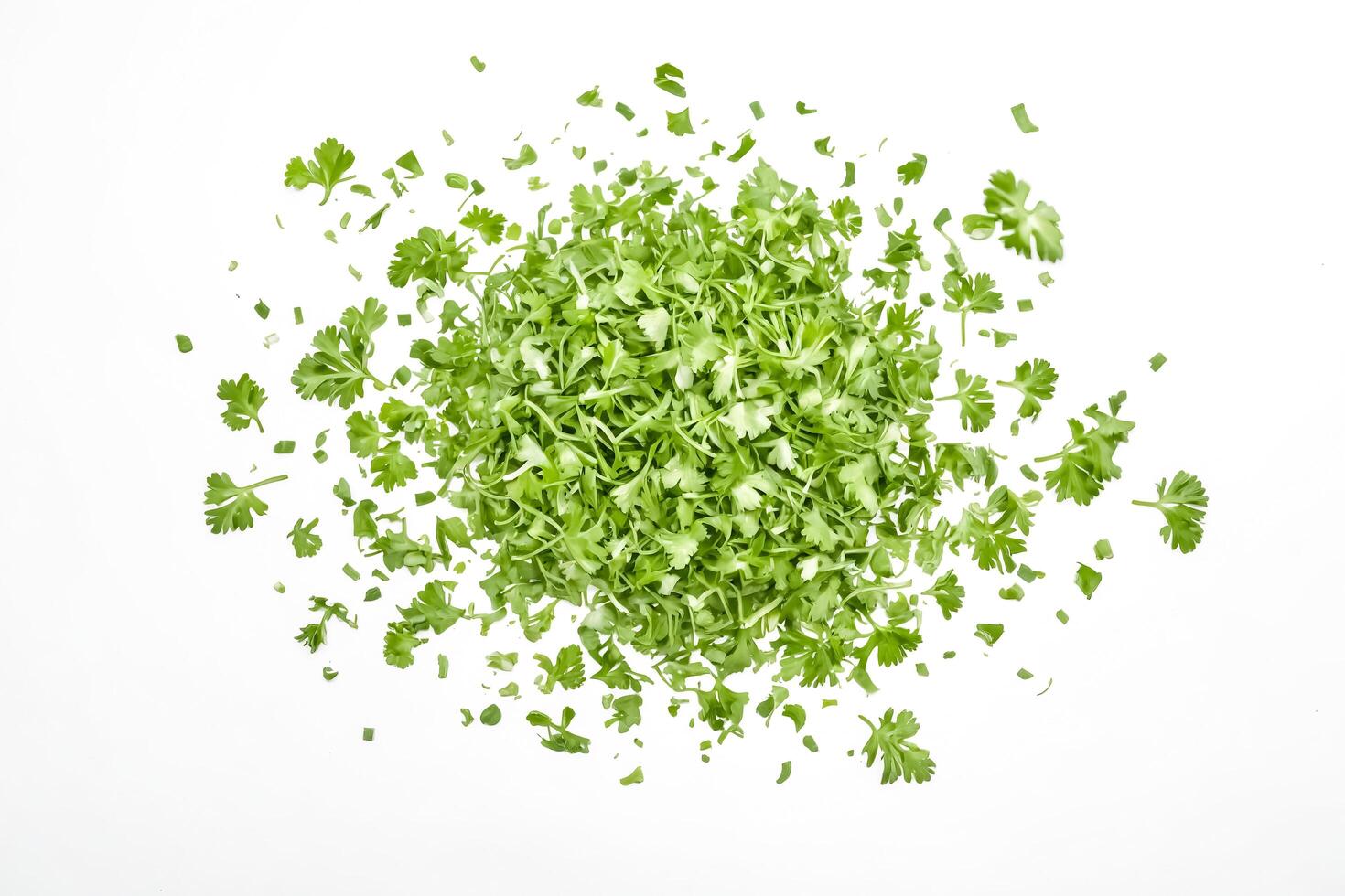 Fresh Green Parsley Leaves Scattered on White Background photo