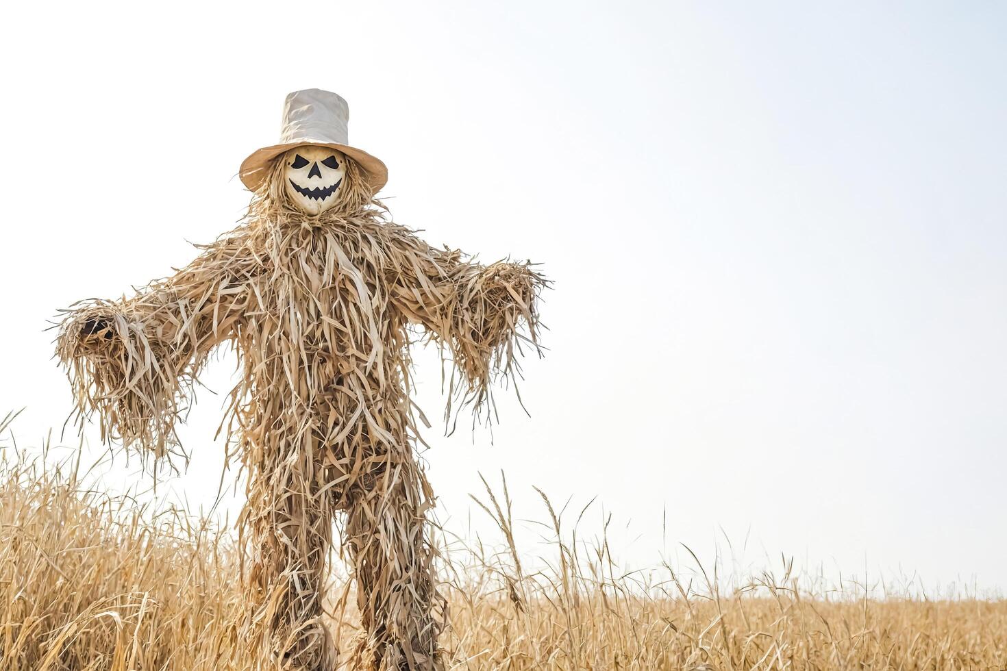 Scarecrow with pumpkin mask in field of grass photo
