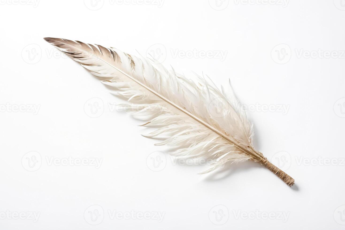 Single White Feather on White Background photo