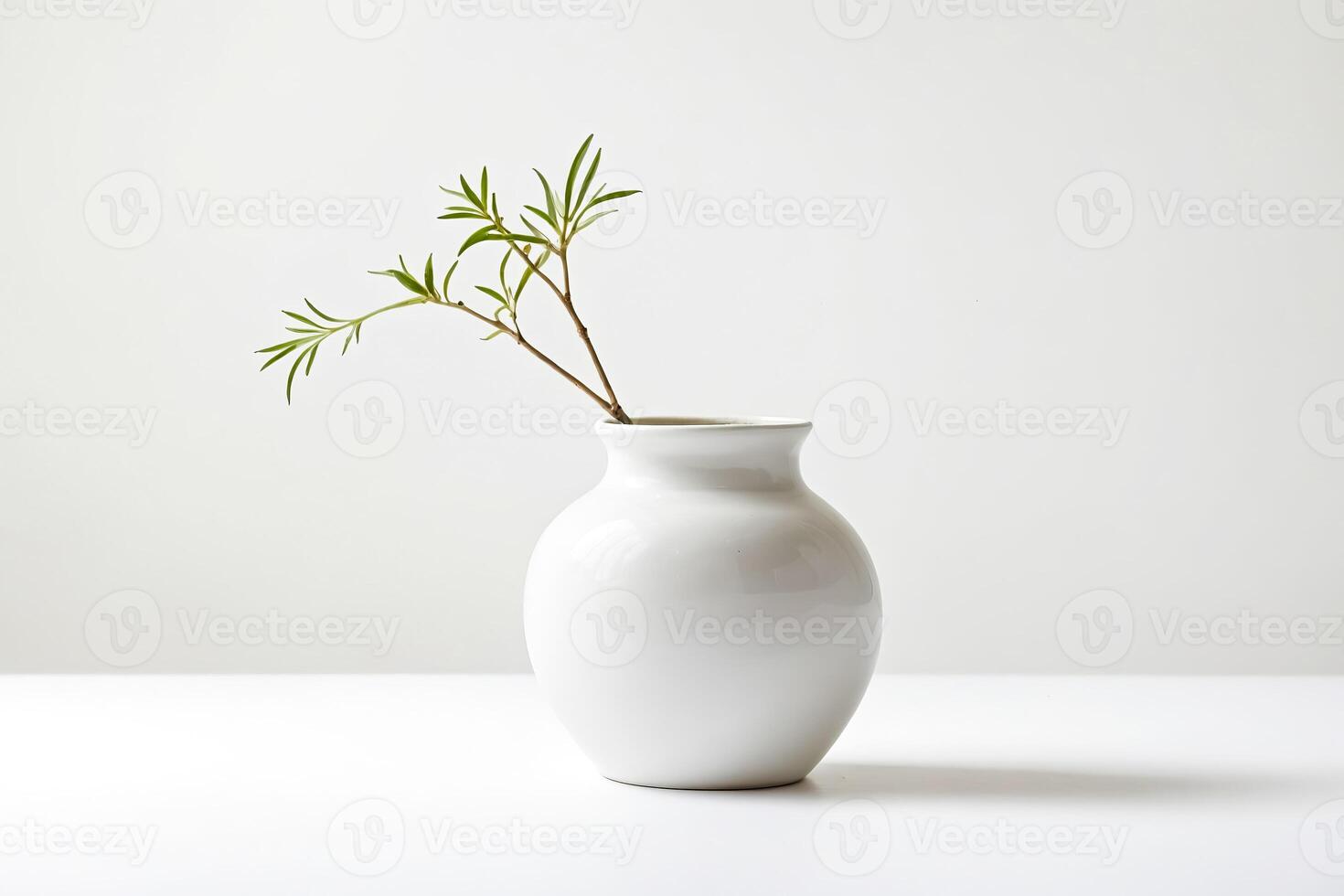 White Vase with Green Sprig photo