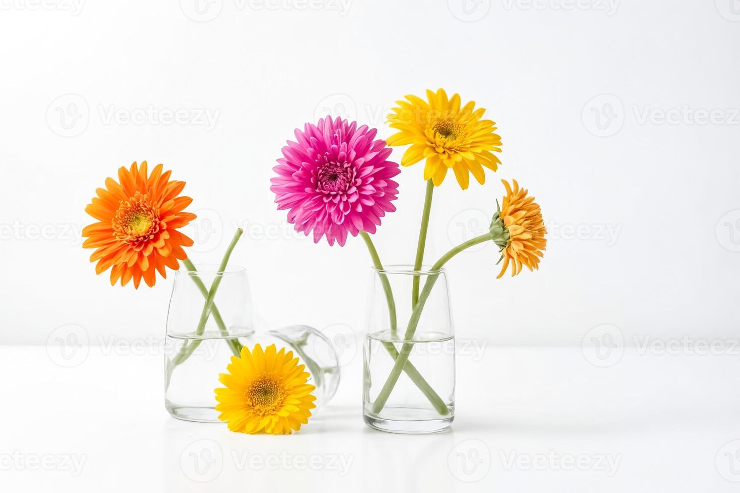 Colorful Gerbera Daisies in Glass Vases photo