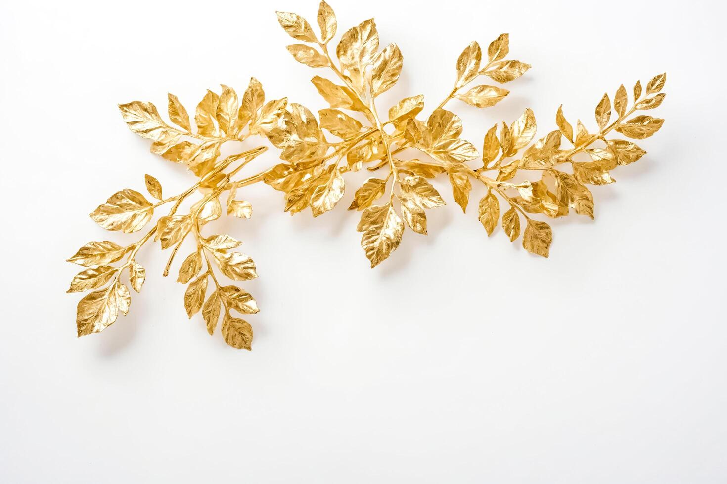 Golden Leaf Branch on White Background photo