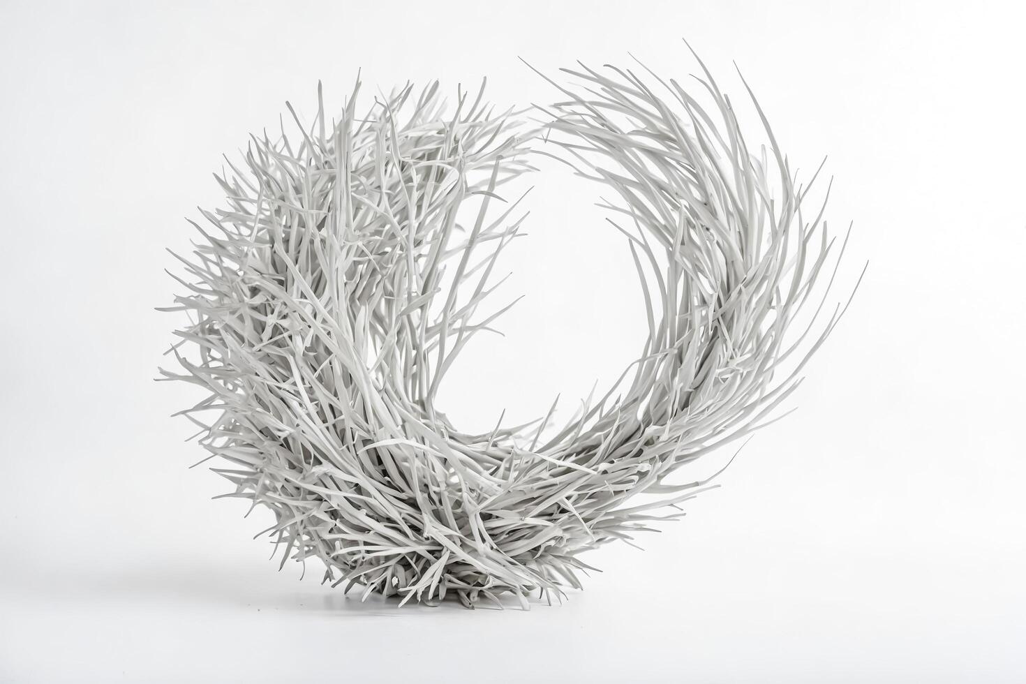 White Branches Forming a Circle photo