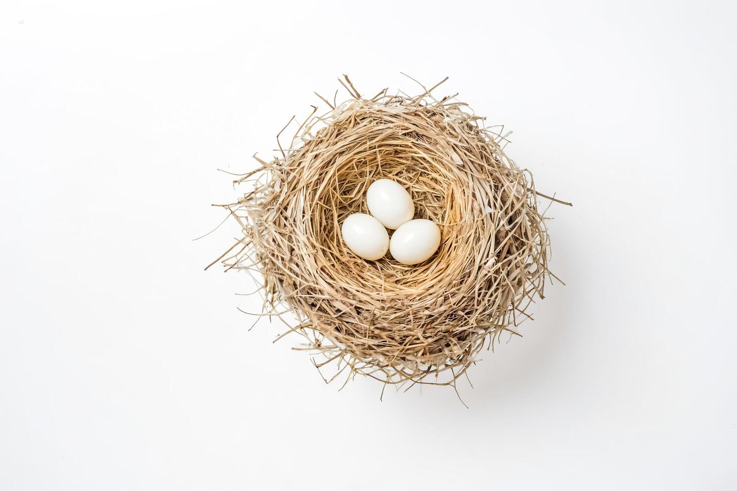 White Eggs in a Bird's Nest photo
