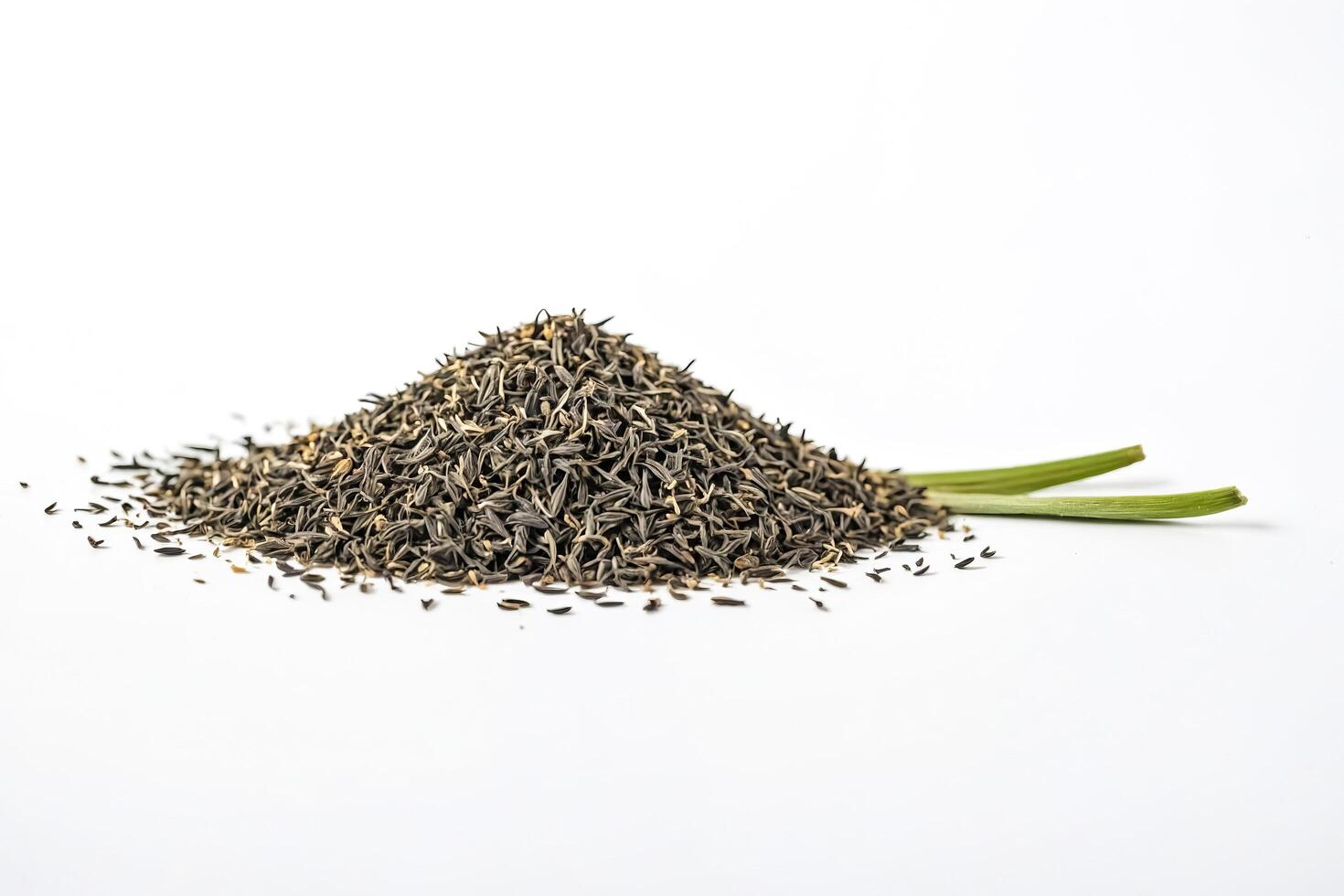 Caraway Seeds on White Background photo