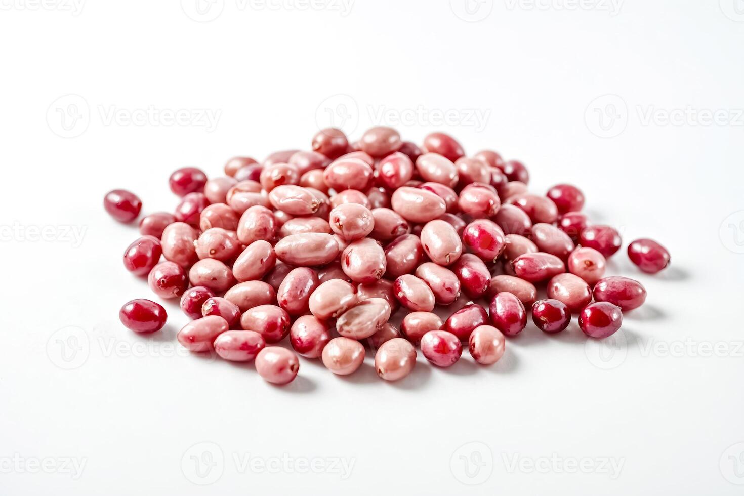 Red Berries on White Background photo