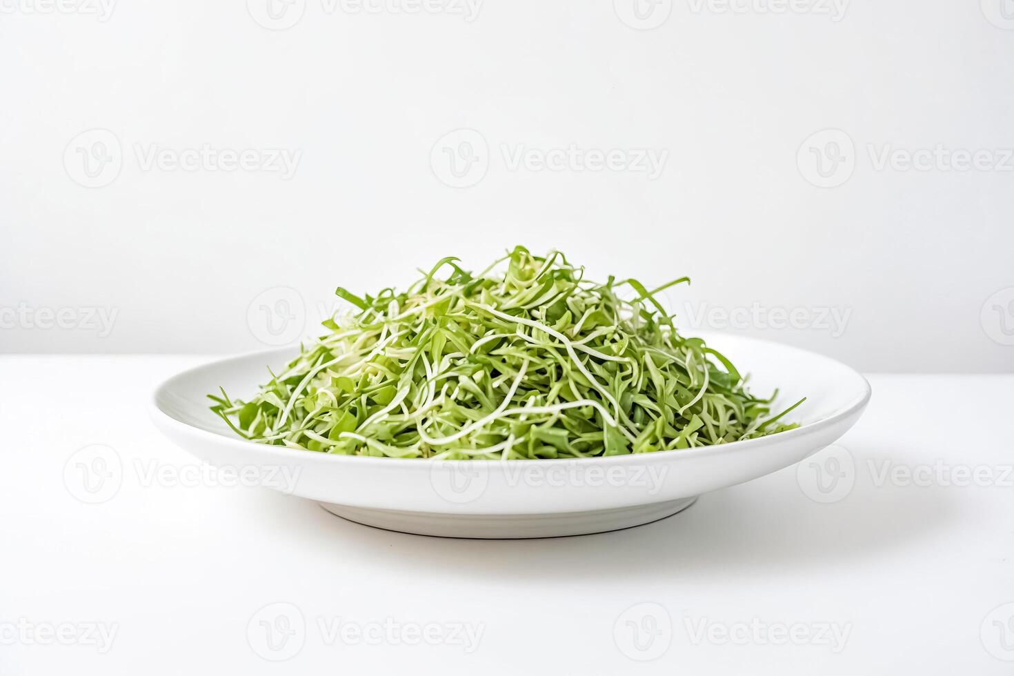 Fresh Mung Bean Sprouts in a White Bowl photo