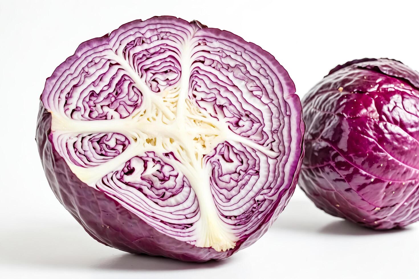 Close-up of a halved red cabbage on a white background photo