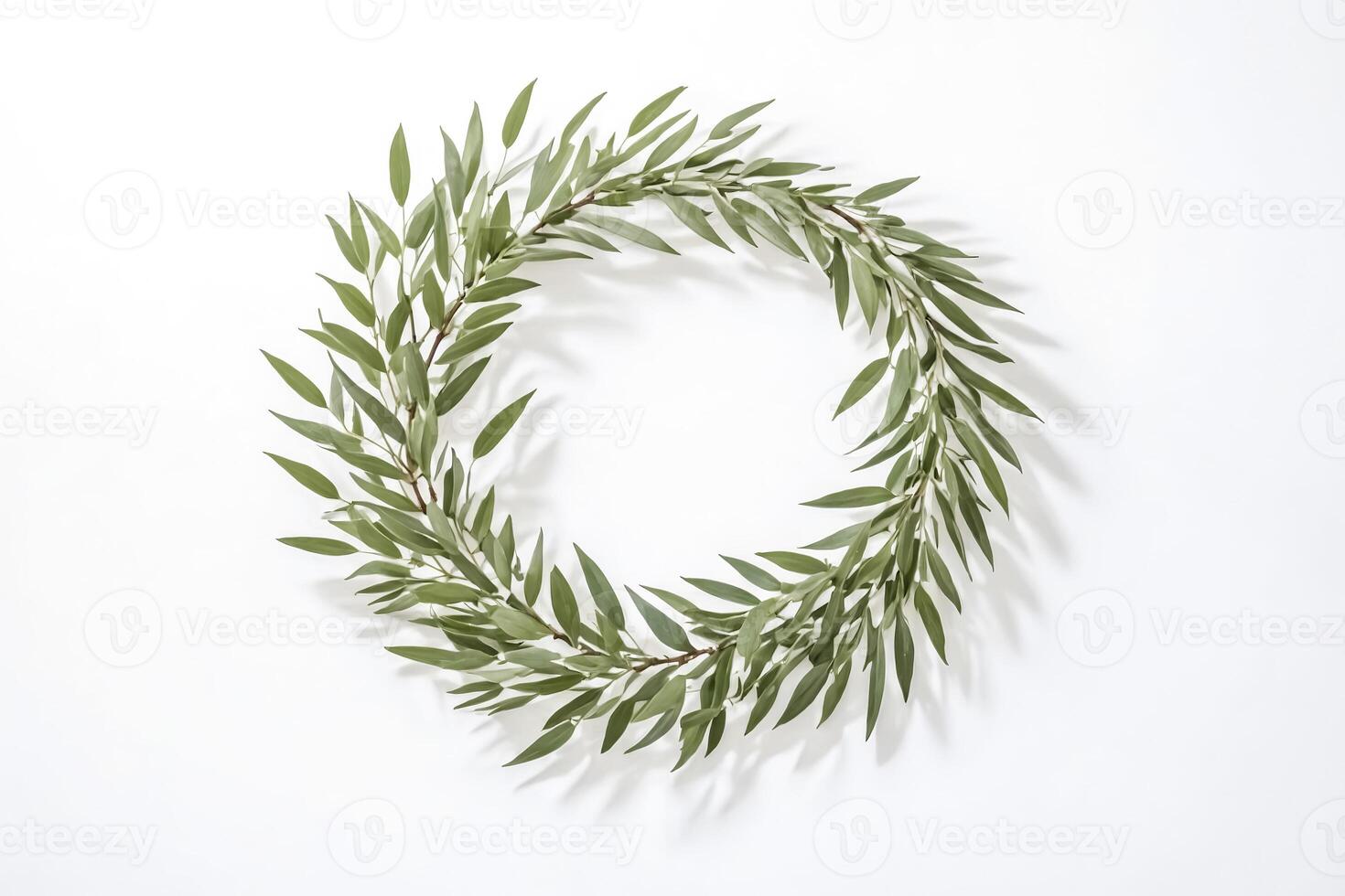Green Leaf Wreath On White Background photo