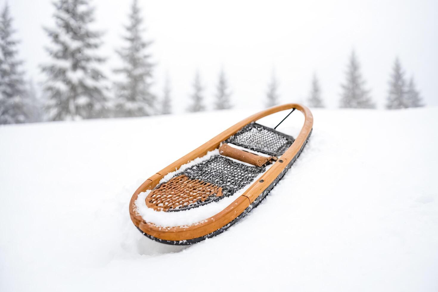 Wooden Snowshoes Resting in Fresh Snow photo