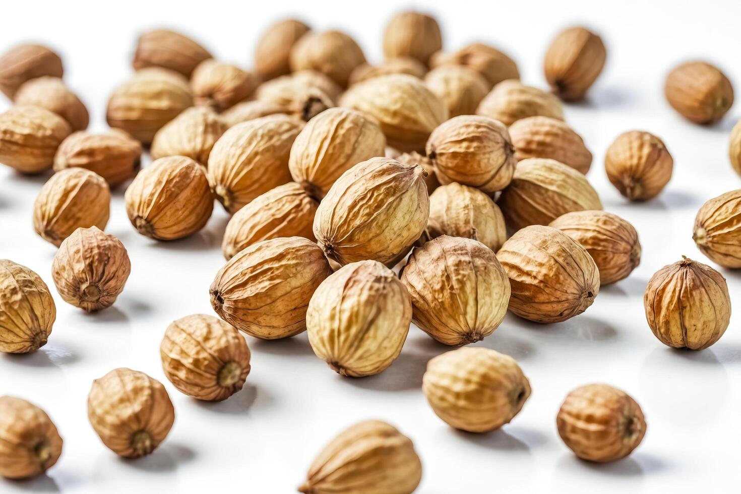 Close-up of Dried Coriander Seeds on White Background photo