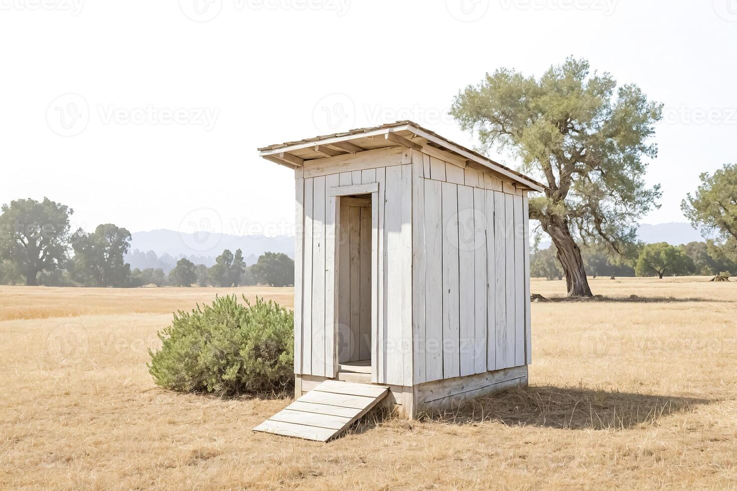 Rustic Outhouse in a Field photo