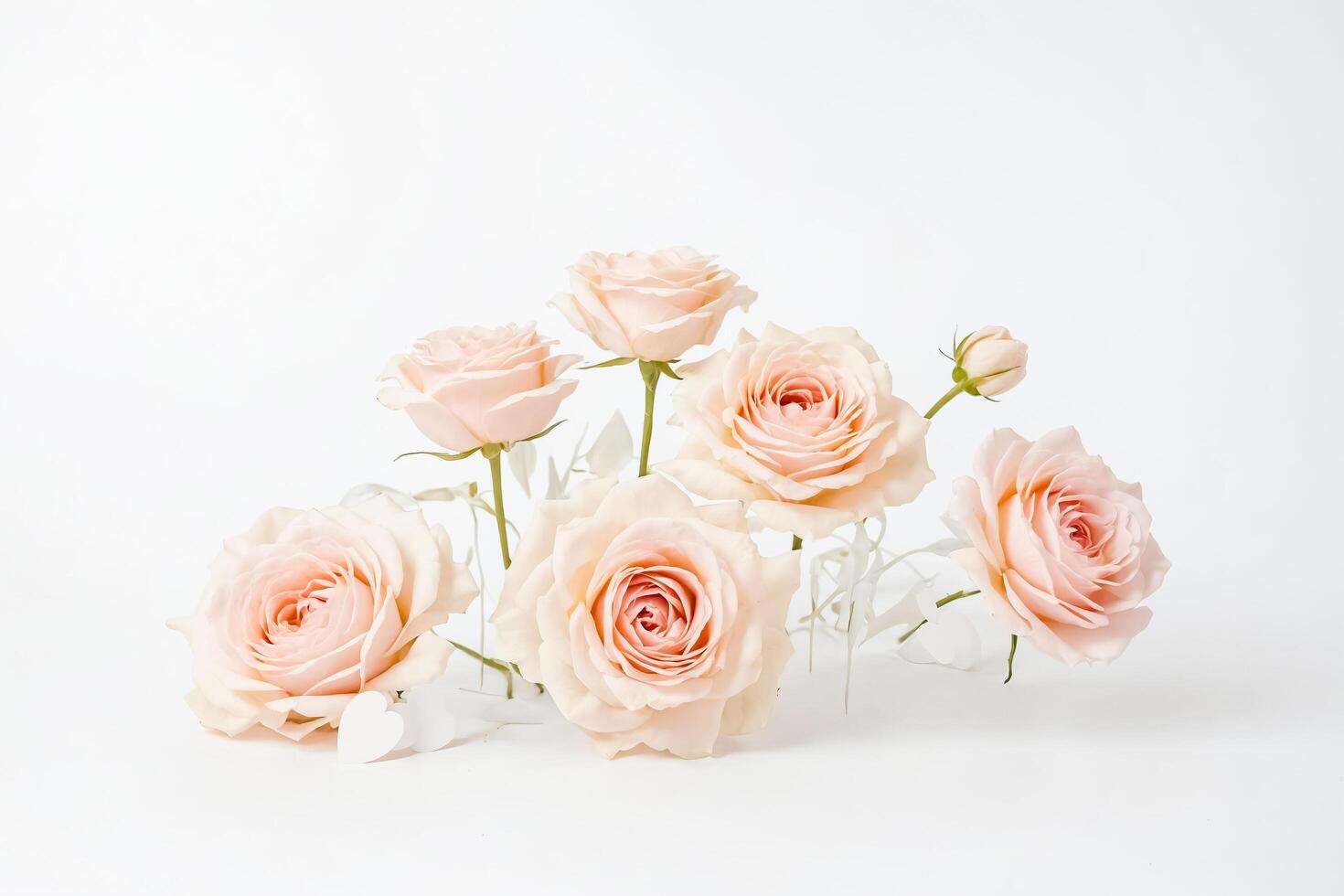Delicate Peach Roses and Hearts on White Background photo