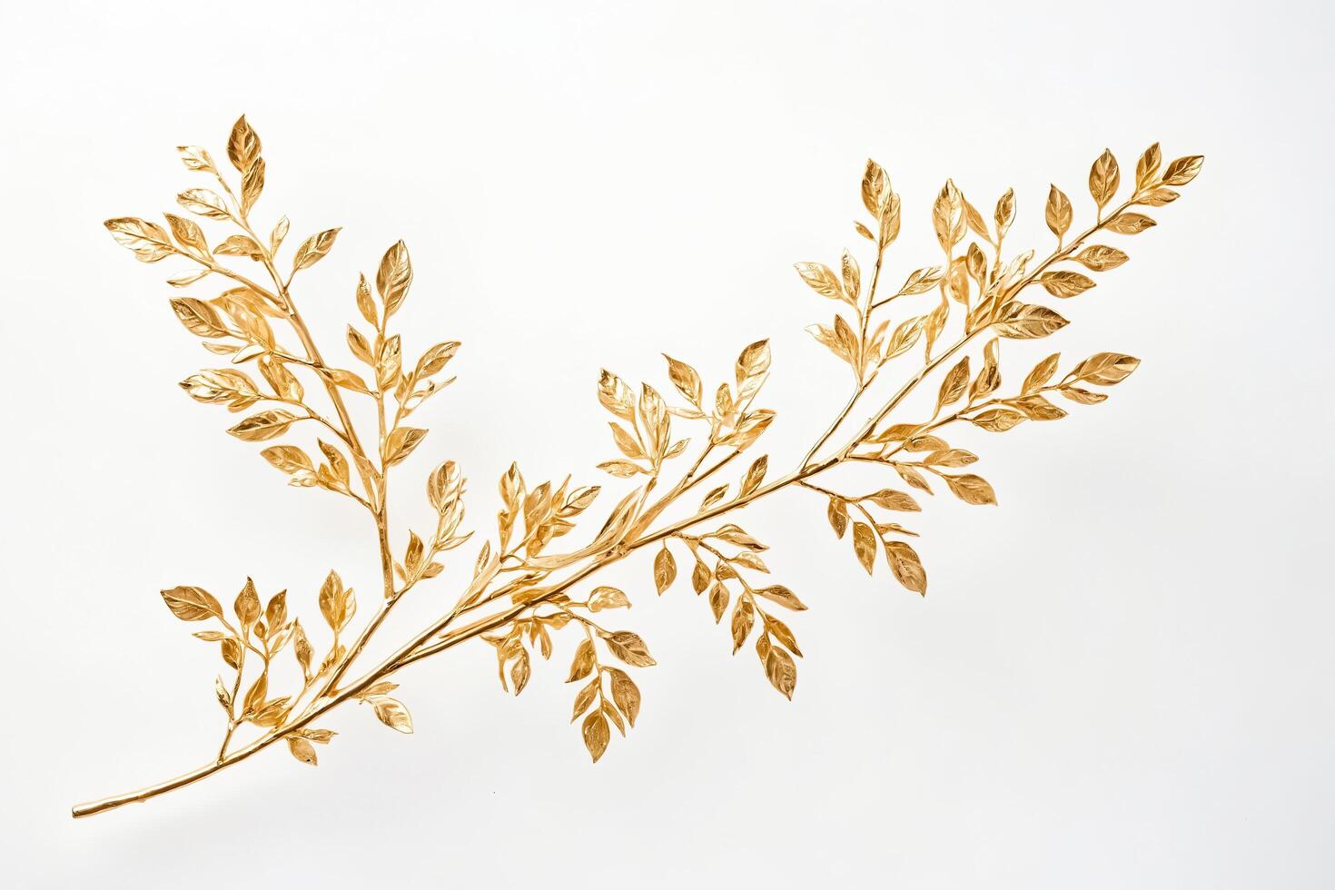 Golden Branch with Leaves on White Background photo