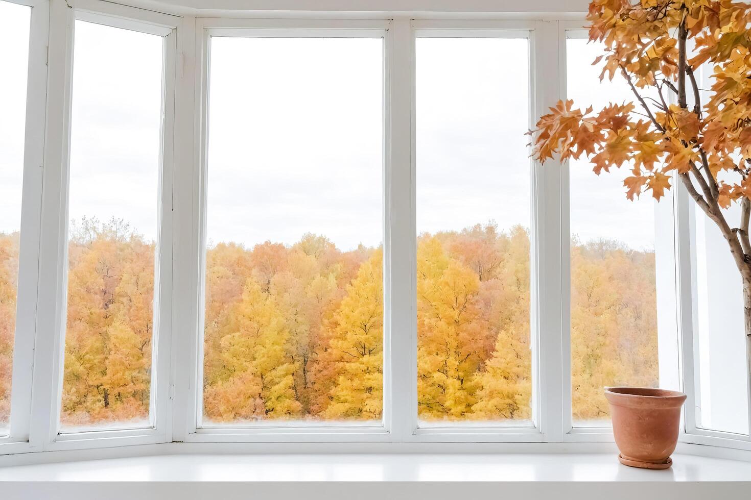 Autumnal View Through Window with Clay Pot photo