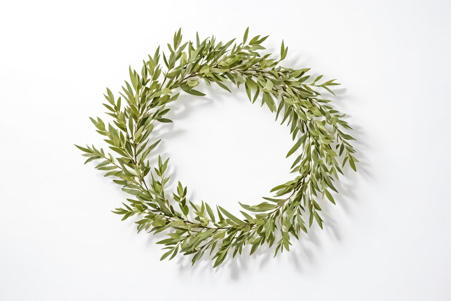 Green Leaf Wreath On White Background photo