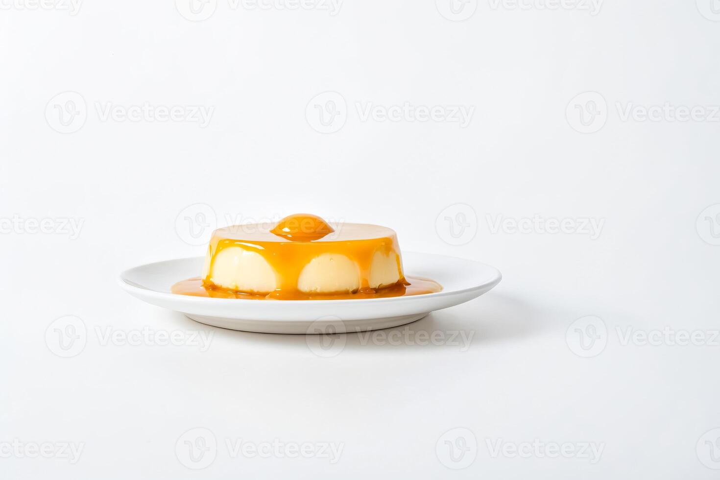 Creamy Dessert with Caramel Sauce on a White Plate photo