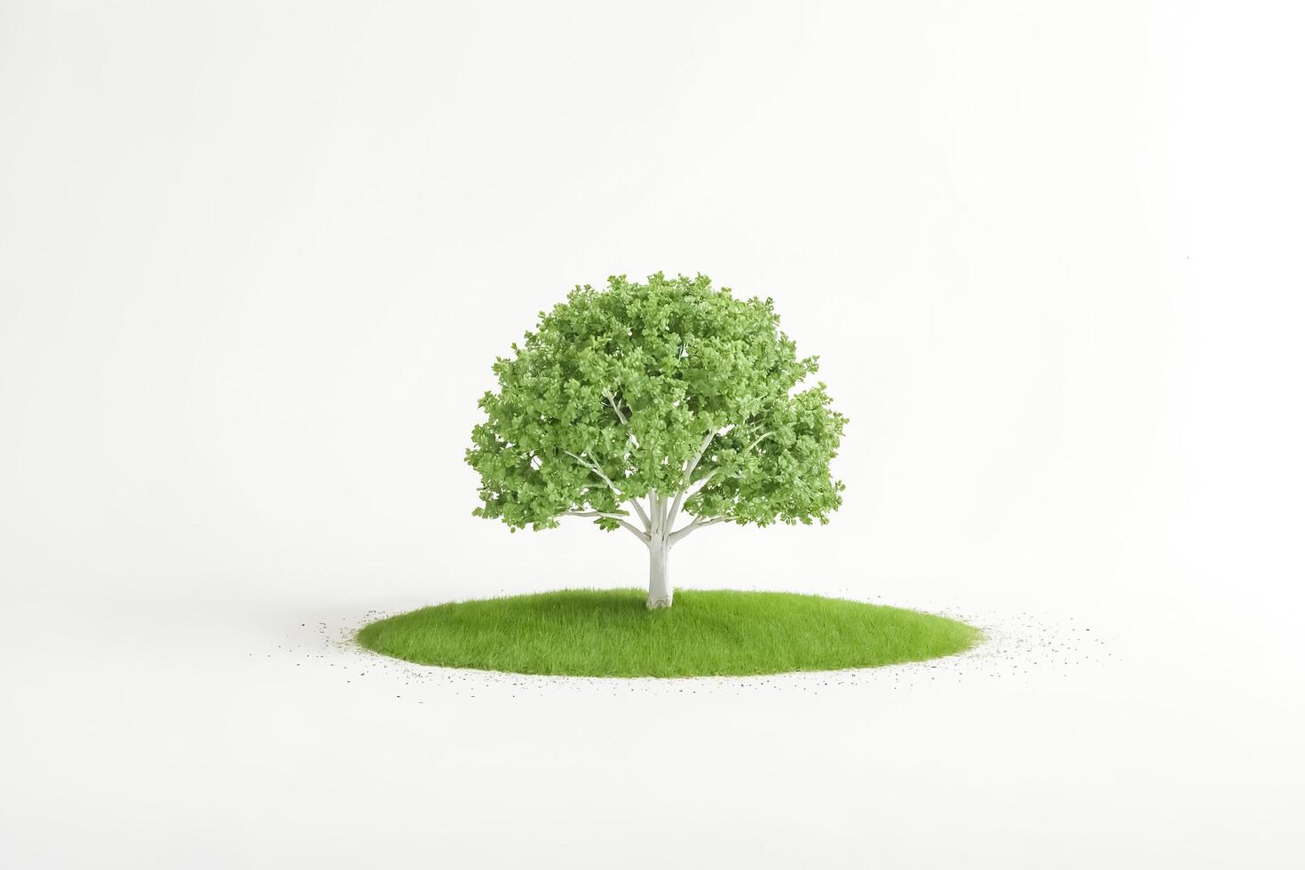 Small Green Tree on a Patch of Grass on a White Background photo