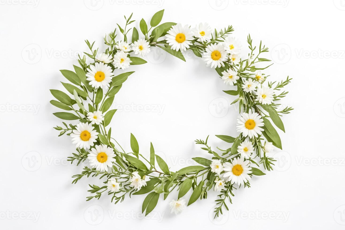 Daisy Wreath on white background photo
