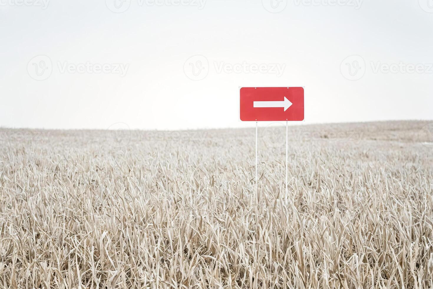 Red arrow sign in a field of dry grass photo