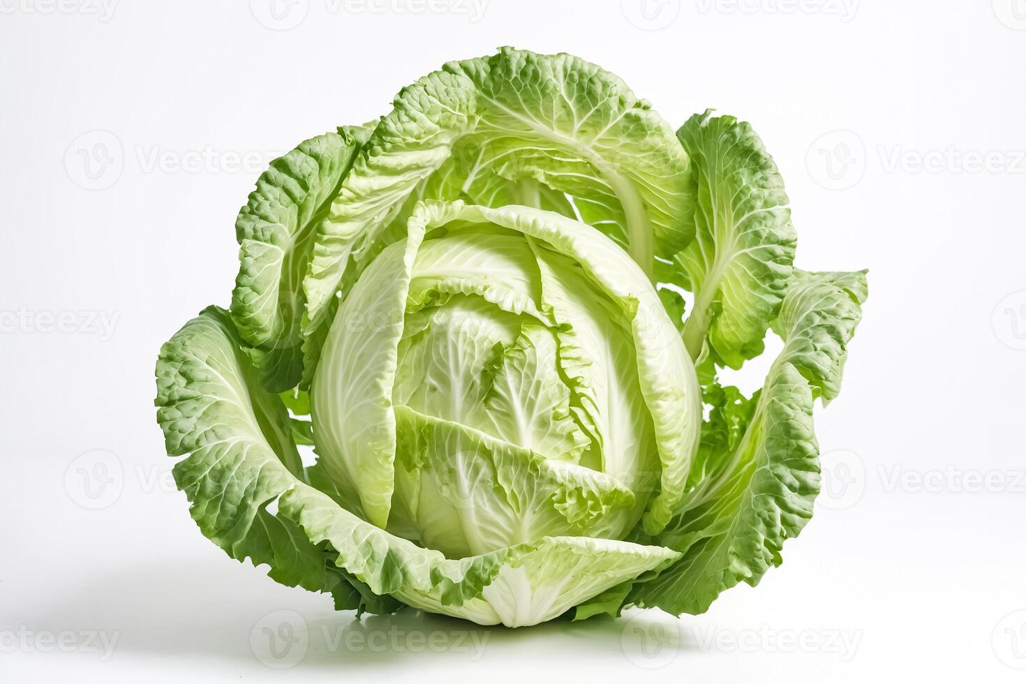 Fresh Green Cabbage On White Background photo