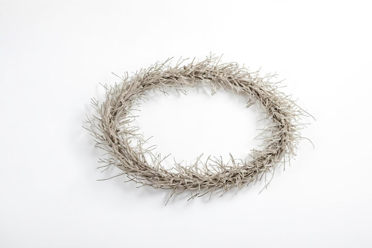 Minimalist Wreath of Dried Twigs on White Background photo