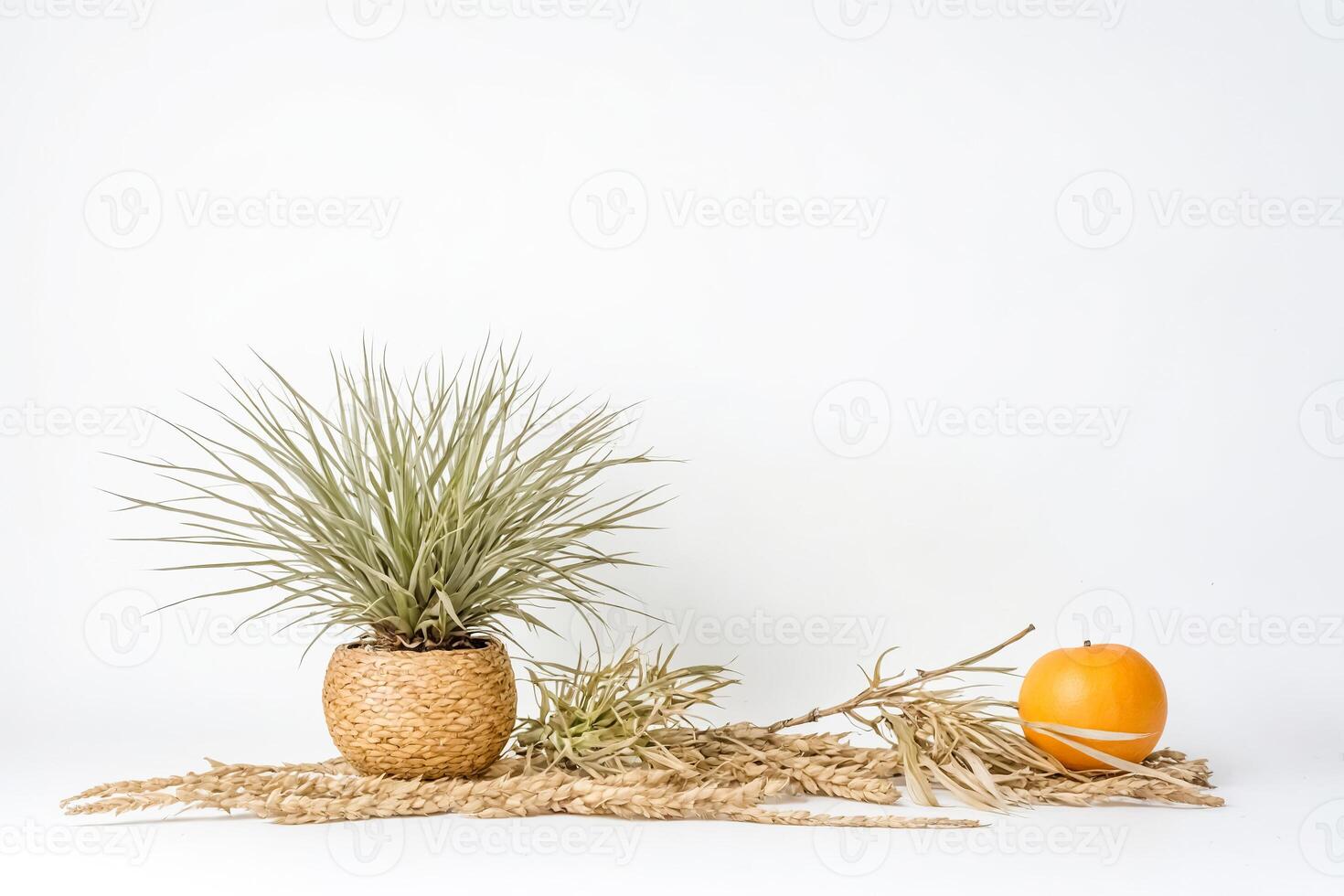 Air Plant in Wicker Basket with Dried Wheat and Orange photo