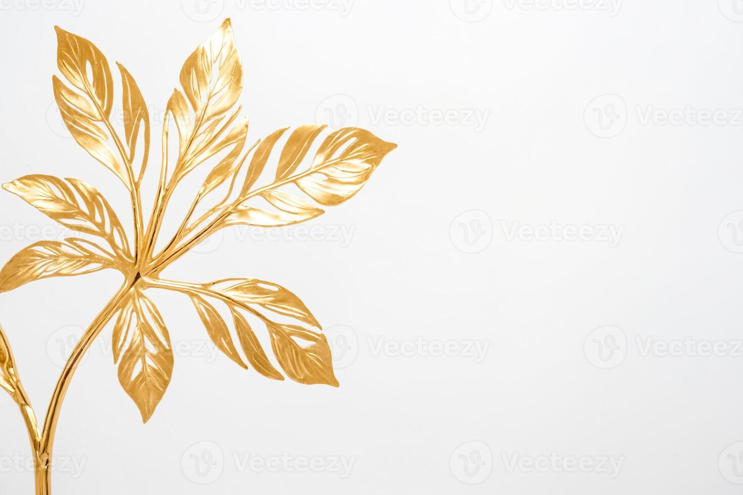 Golden Leaf Branch on White Background photo