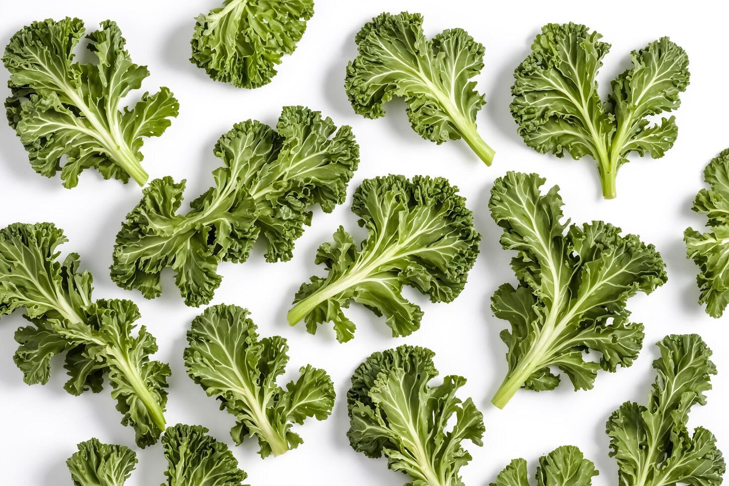 Green leafy vegetables on white background photo