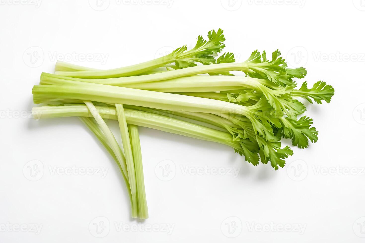 Fresh Celery Stalks on White Background photo