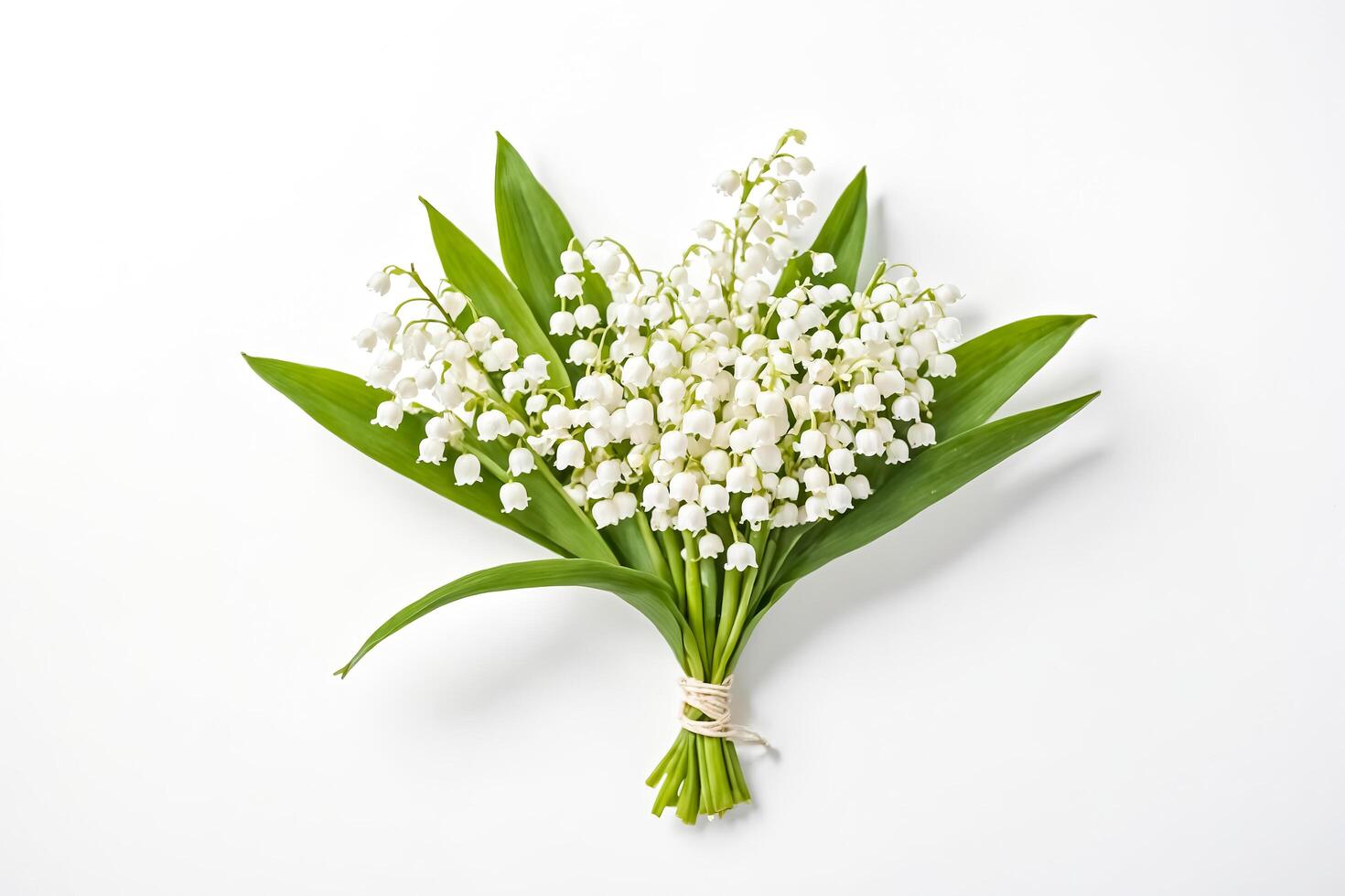 Lily of the Valley Bouquet on White Background photo