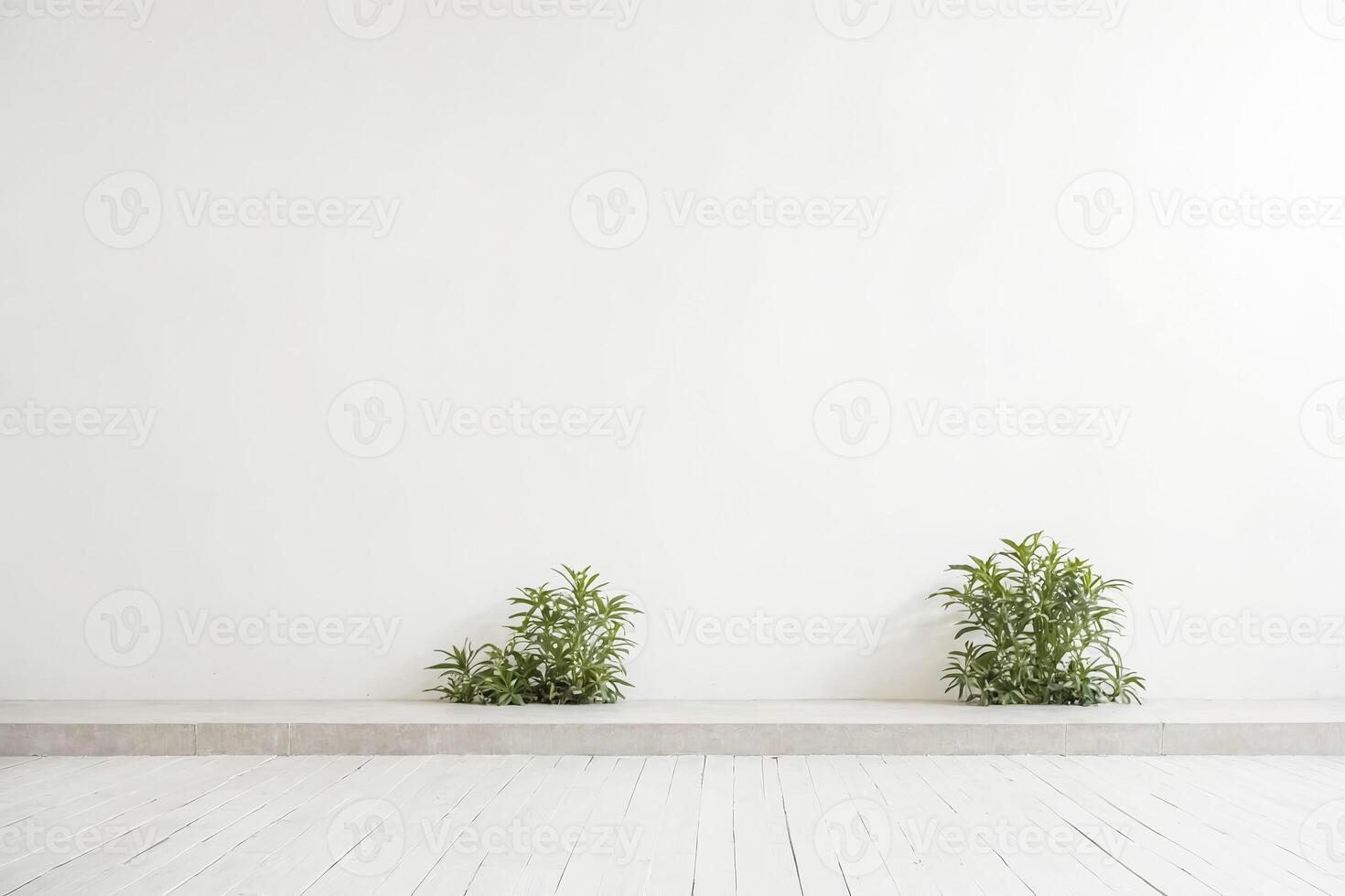 Minimalist White Room with Plants photo