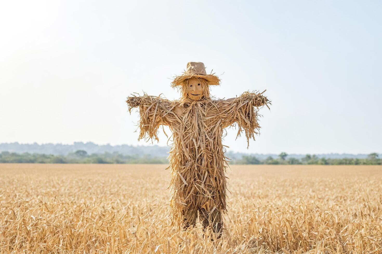 Scarecrow in a Field of Wheat photo