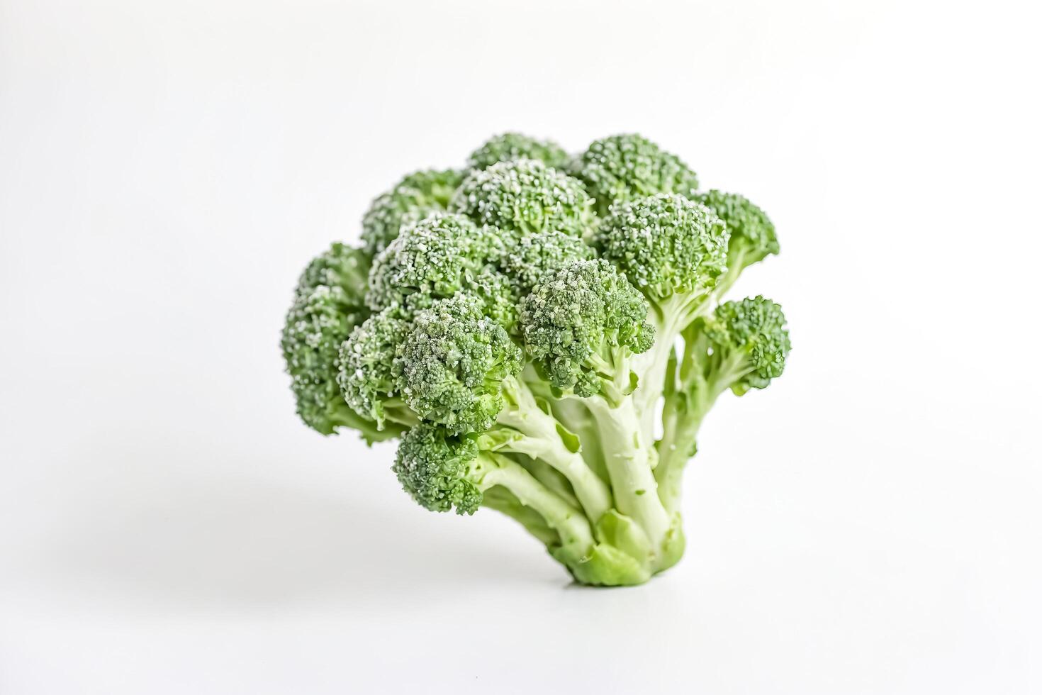 Fresh Broccoli Florets Isolated on White Background photo