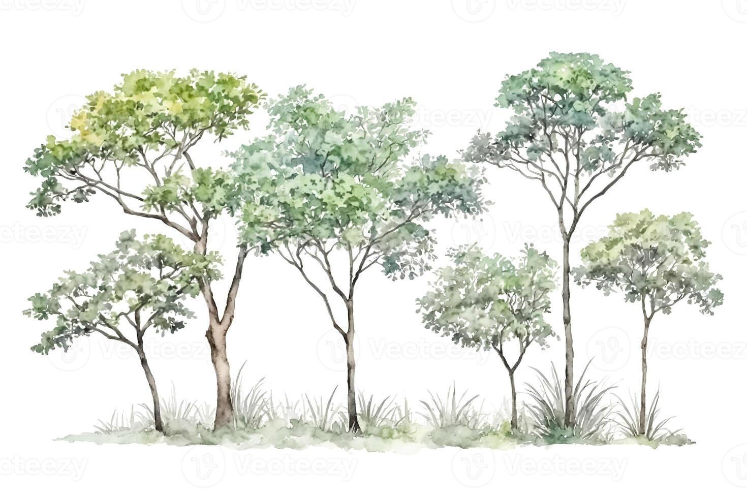 Watercolor Painting of a Row of Trees photo