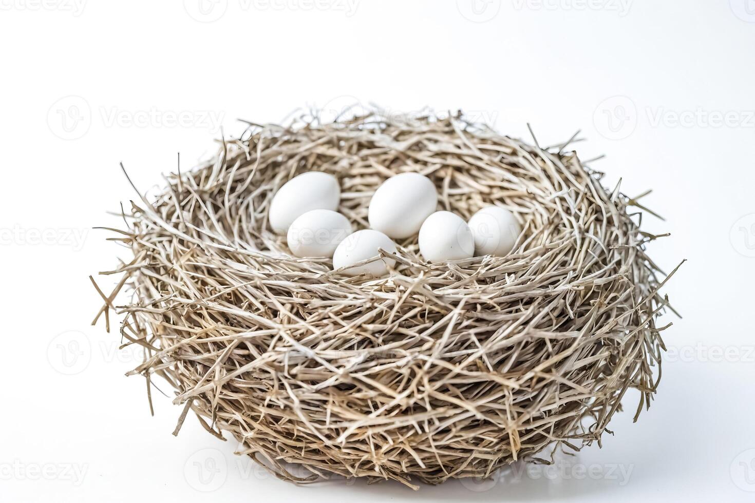 White Eggs in a Nest photo