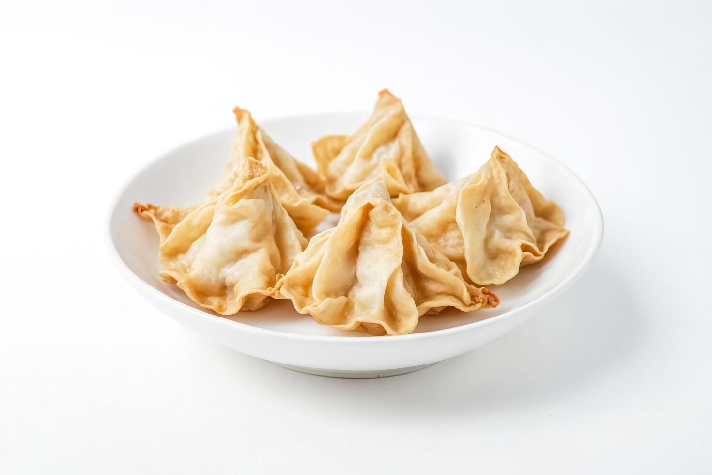 Golden Fried Dumplings on a White Plate photo