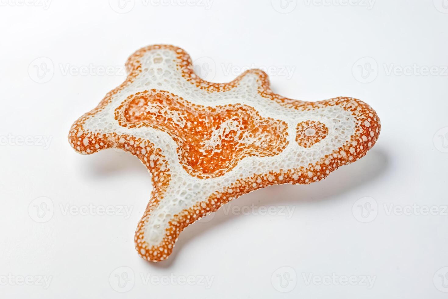 Abstract Orange and White Shape photo