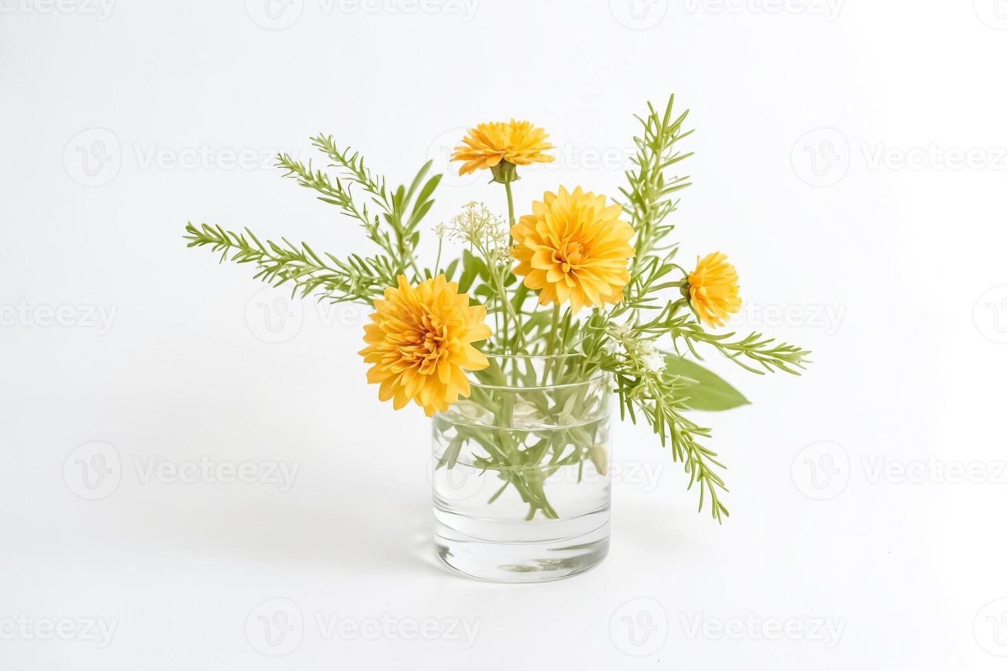 Yellow Flowers in a Glass Vase on a White Background photo